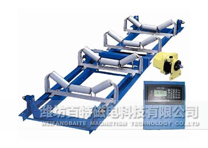 TSC電子皮帶秤